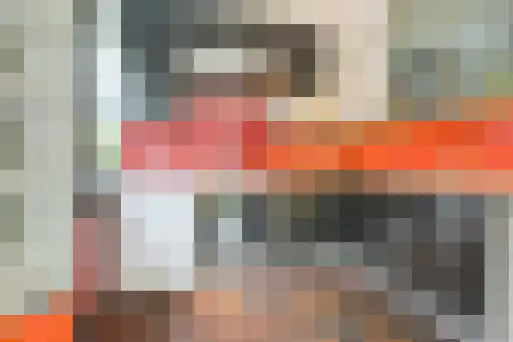 Pelsakker 23 Breda thumbnail 27