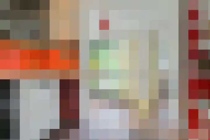 Pelsakker 23 Breda thumbnail 28