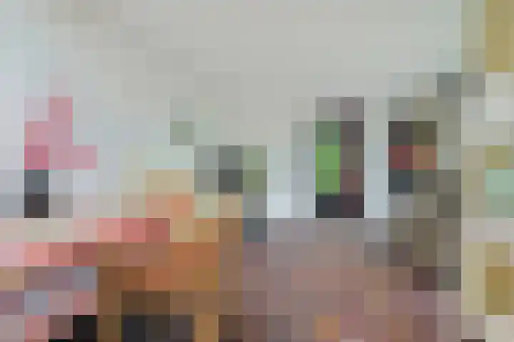 Pelsakker 23 Breda thumbnail 32