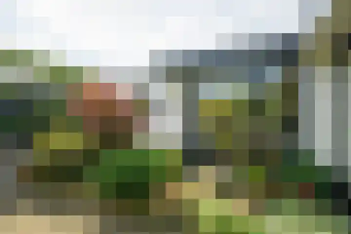 Pelsakker 23 Breda thumbnail 34