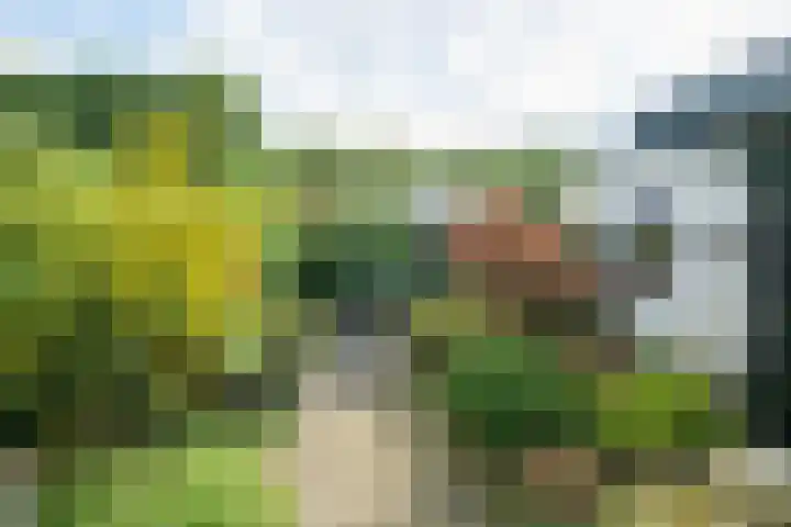 Pelsakker 23 Breda thumbnail 35