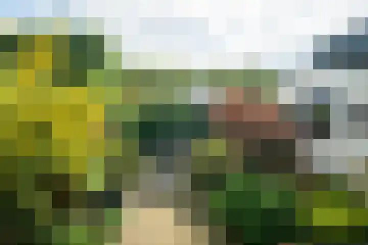 Pelsakker 23 Breda thumbnail 36