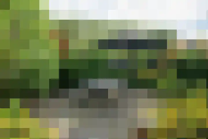 Pelsakker 23 Breda thumbnail 37