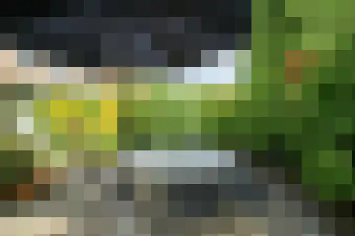 Pelsakker 23 Breda thumbnail 38