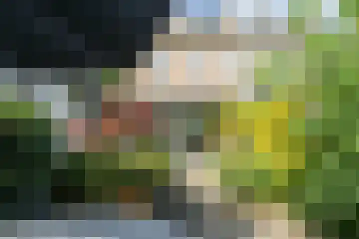 Pelsakker 23 Breda thumbnail 39