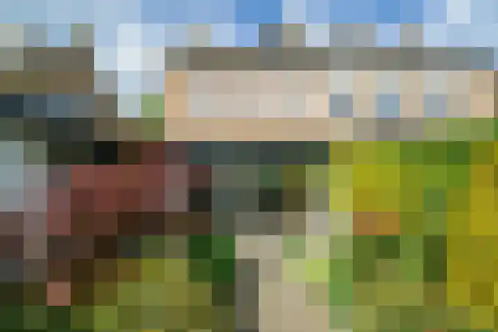 Pelsakker 23 Breda thumbnail 40