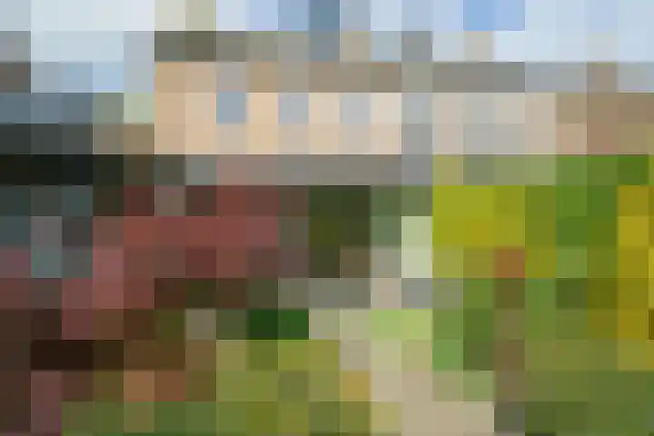 Pelsakker 23 Breda thumbnail 41