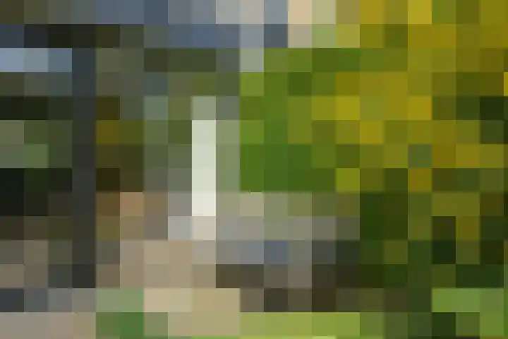 Pelsakker 23 Breda thumbnail 42