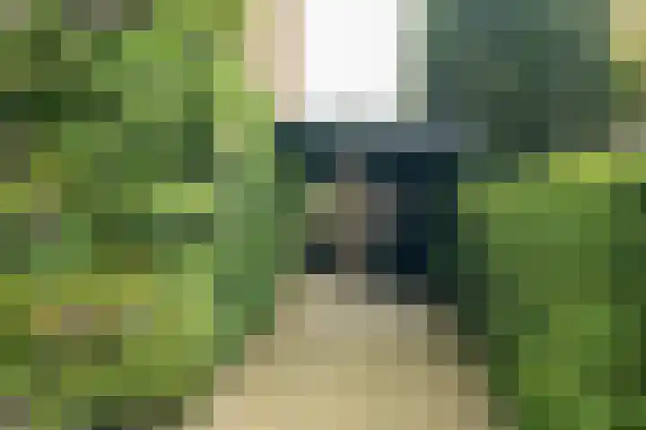 Pelsakker 23 Breda thumbnail 43