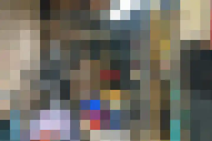 Pelsakker 23 Breda thumbnail 44