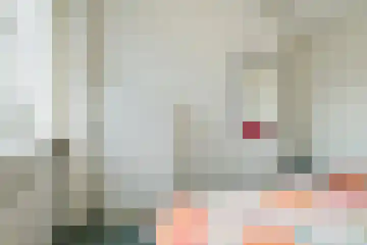 Pelsakker 23 Breda thumbnail 47
