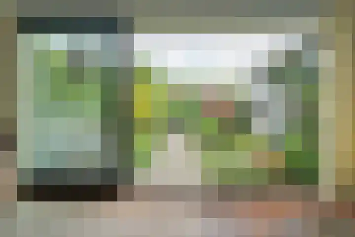 Pelsakker 23 Breda thumbnail 5
