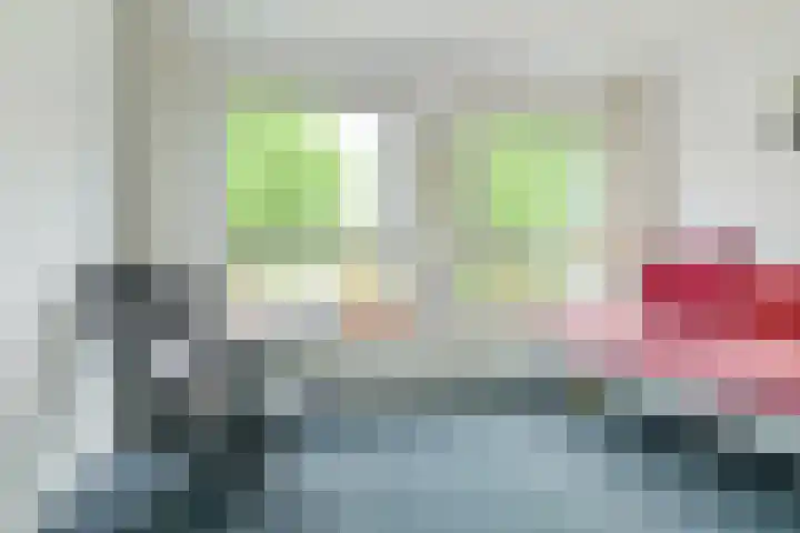 Pelsakker 23 Breda thumbnail 52