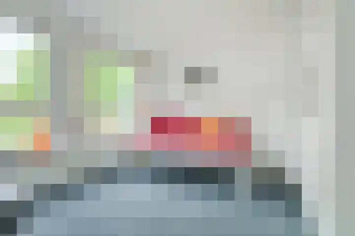 Pelsakker 23 Breda thumbnail 53