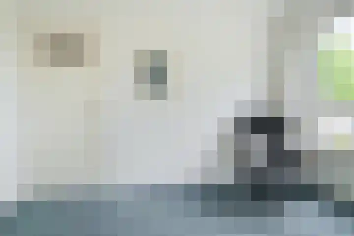 Pelsakker 23 Breda thumbnail 54