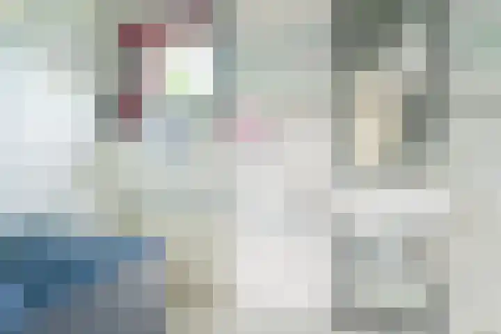 Pelsakker 23 Breda thumbnail 55