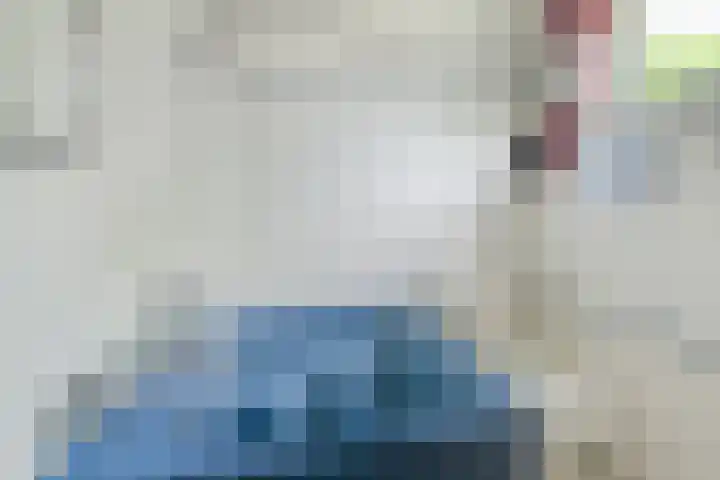 Pelsakker 23 Breda thumbnail 57