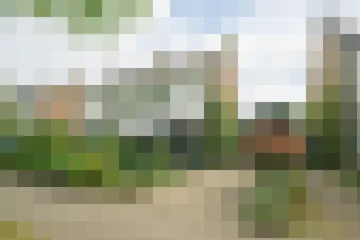Pelsakker 23 Breda thumbnail 64
