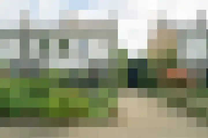 Pelsakker 23 Breda thumbnail 65