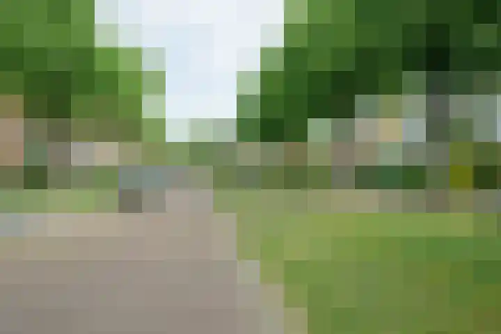 Pelsakker 23 Breda thumbnail 66