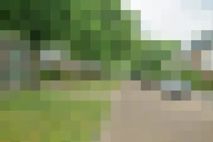 Pelsakker 23 Breda thumbnail 67