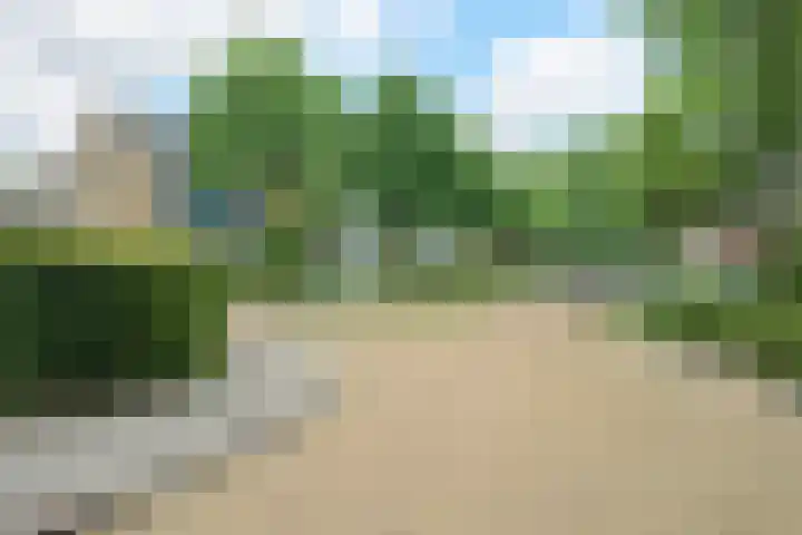 Pelsakker 23 Breda thumbnail 68