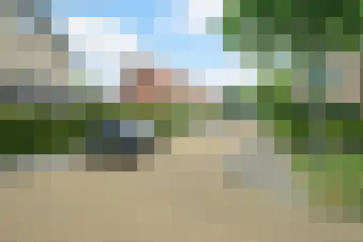 Pelsakker 23 Breda thumbnail 69