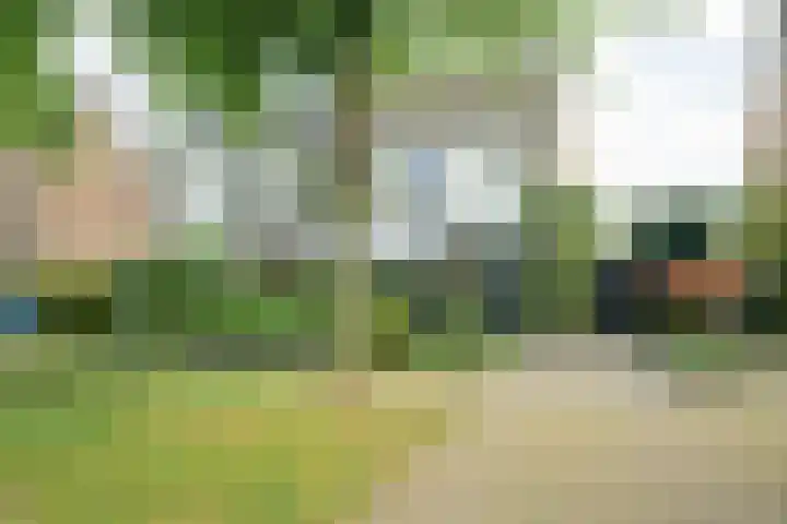 Pelsakker 23 Breda thumbnail 7