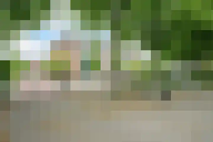 Pelsakker 23 Breda thumbnail 70