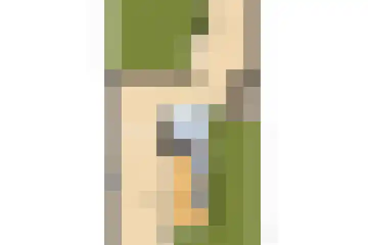 Pelsakker 23 Breda thumbnail 74