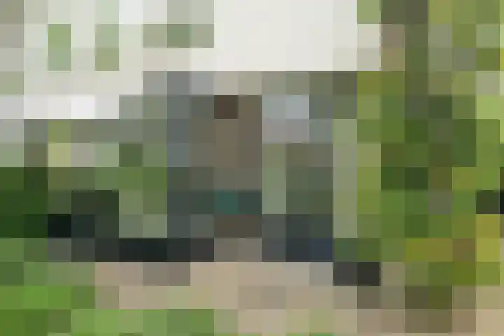 Pelsakker 23 Breda thumbnail 8