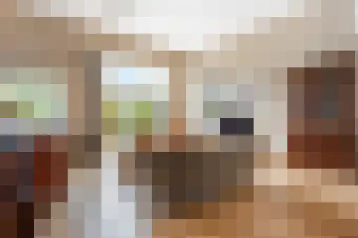 Pelschans 3 Zoetermeer thumbnail 10