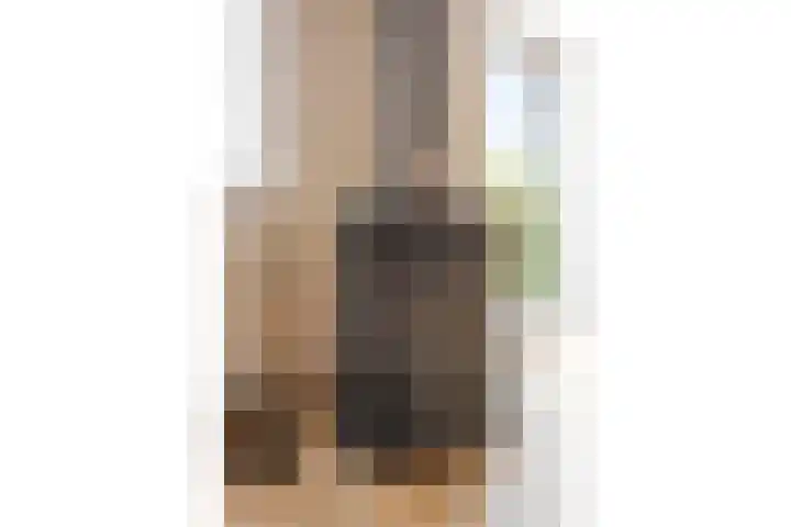 Pelschans 3 Zoetermeer thumbnail 12