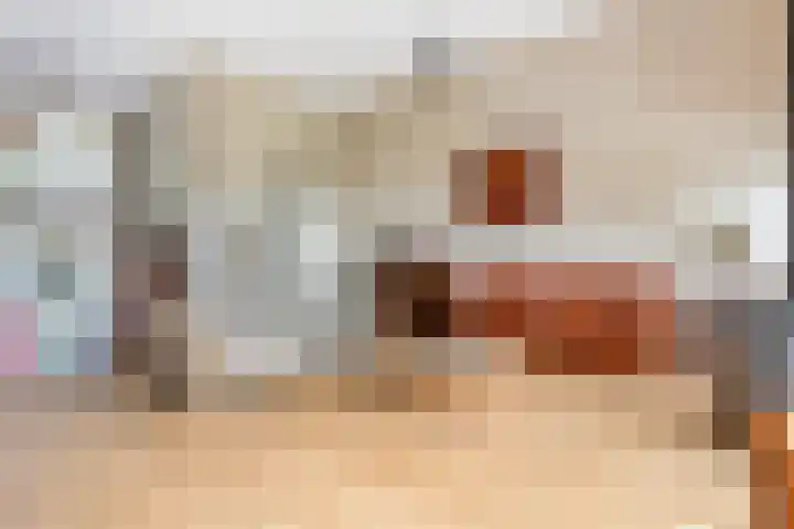 Pelschans 3 Zoetermeer thumbnail 13
