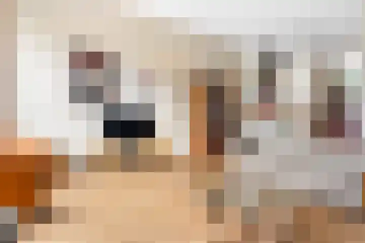 Pelschans 3 Zoetermeer thumbnail 14