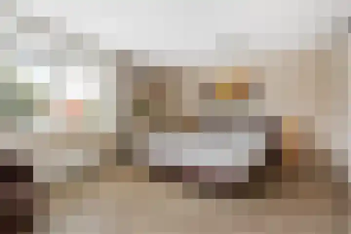 Pelschans 3 Zoetermeer thumbnail 17