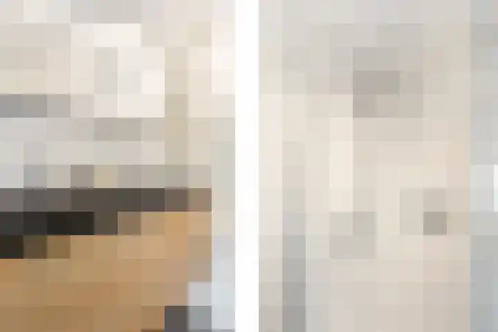 Pelschans 3 Zoetermeer thumbnail 21