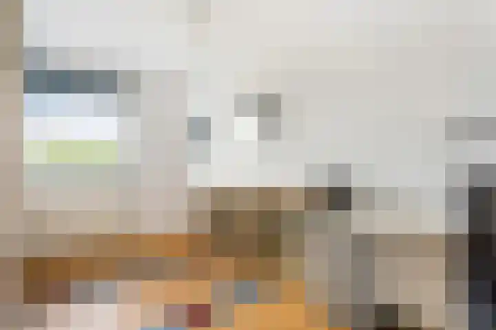 Pelschans 3 Zoetermeer thumbnail 24