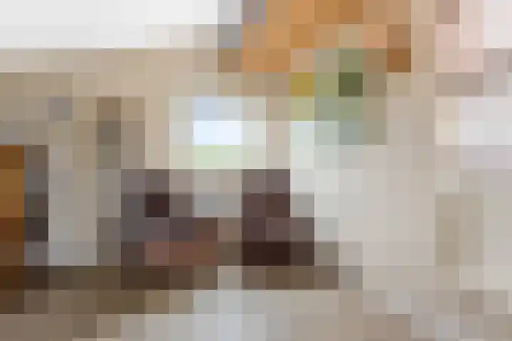 Pelschans 3 Zoetermeer thumbnail 27