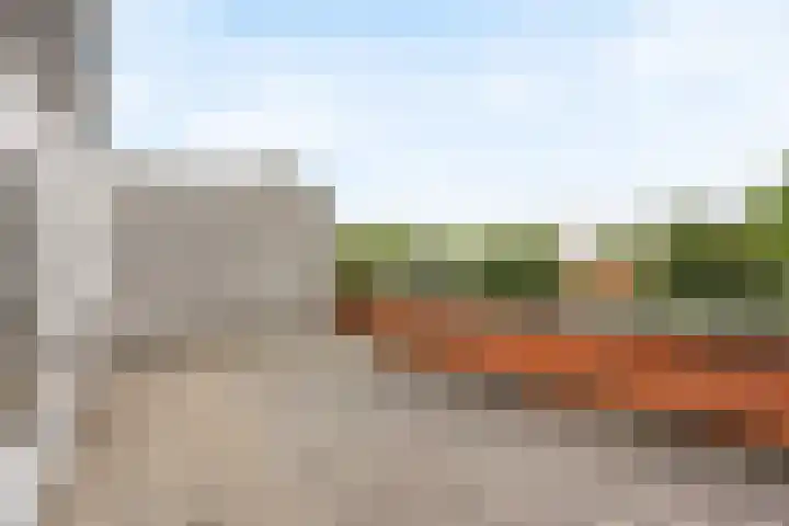Pelschans 3 Zoetermeer thumbnail 30
