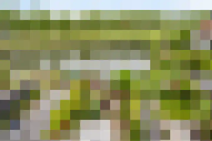 Pelschans 3 Zoetermeer thumbnail 31