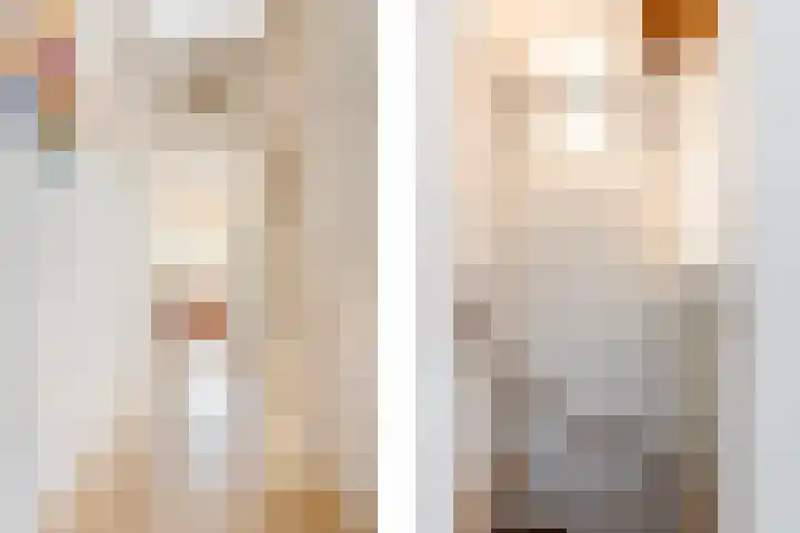 Pelschans 3 Zoetermeer thumbnail 32