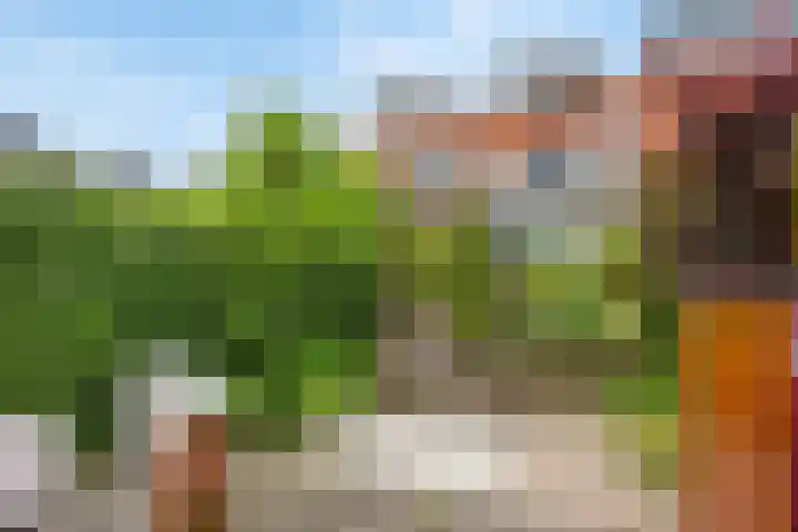Pelschans 3 Zoetermeer thumbnail 34