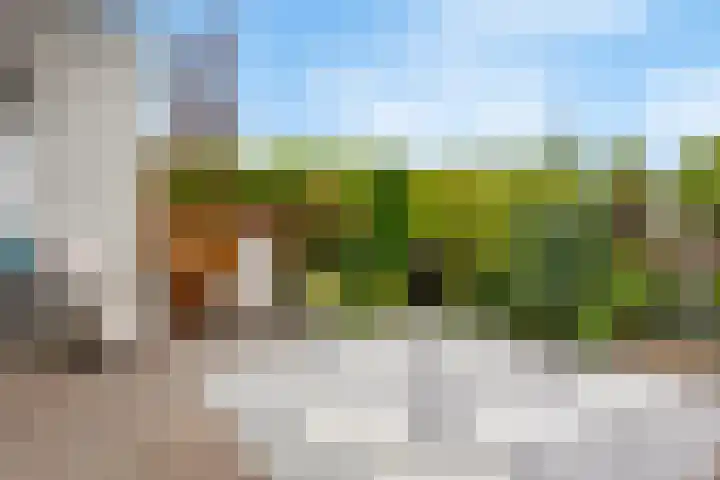 Pelschans 3 Zoetermeer thumbnail 35