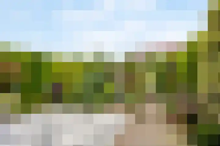 Pelschans 3 Zoetermeer thumbnail 36
