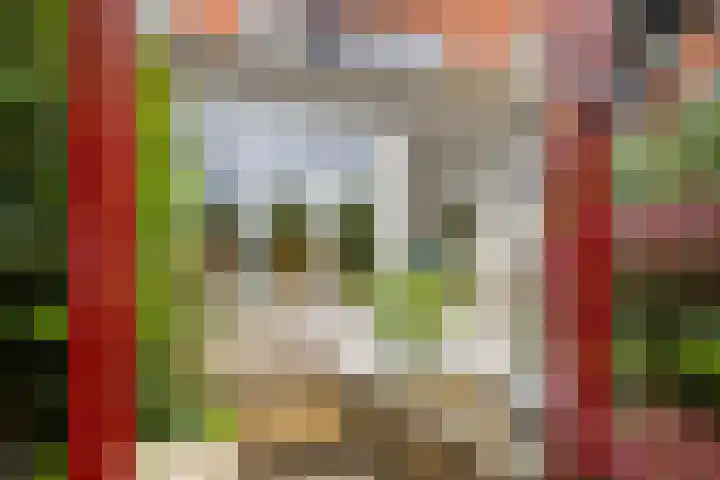 Pelschans 3 Zoetermeer thumbnail 37