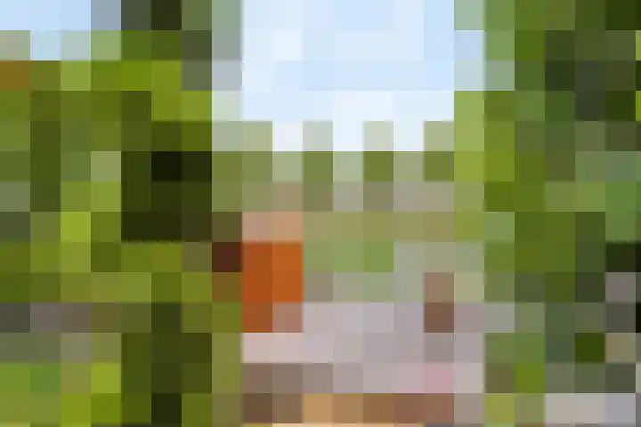 Pelschans 3 Zoetermeer thumbnail 38