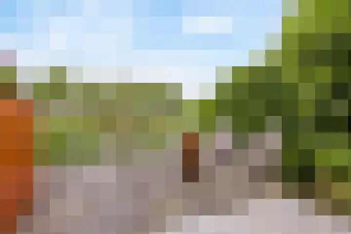 Pelschans 3 Zoetermeer thumbnail 39