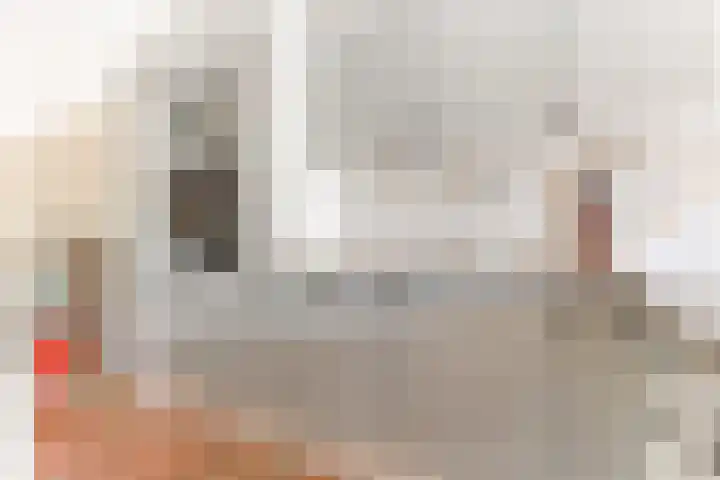 Pelschans 3 Zoetermeer thumbnail 4