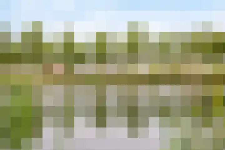 Pelschans 3 Zoetermeer thumbnail 40